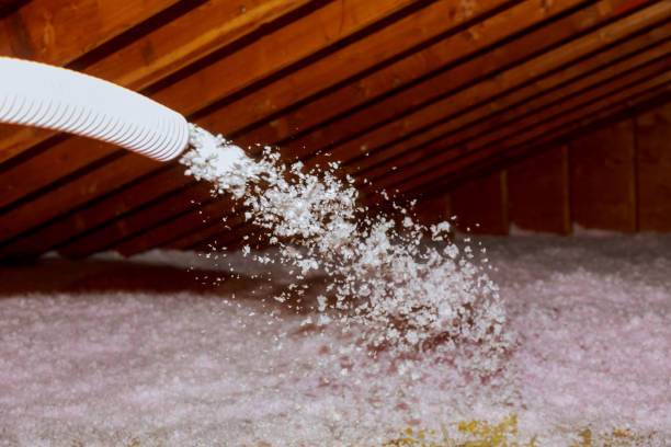 Best Insulation Maintenance and Repair in Hunter, OH