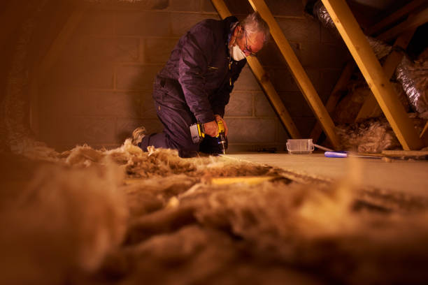 Best Eco-Friendly Insulation in Hunter, OH