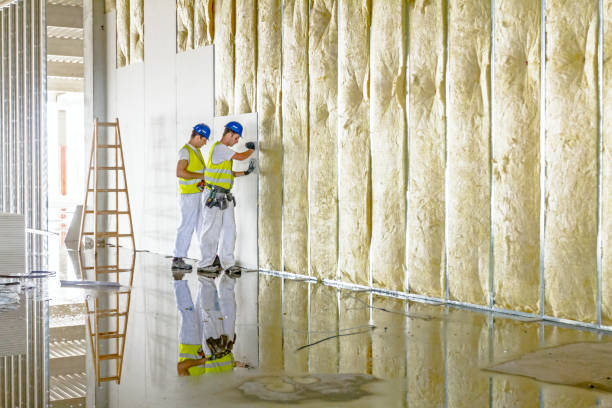 Best Commercial Insulation in Hunter, OH